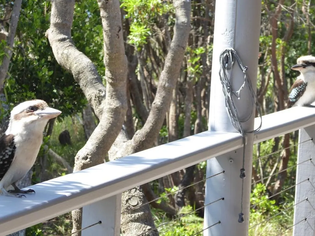 Kookaburra Beach Cottage On Tallow Byron Bay Nyaraló